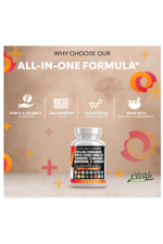 Clean Nutraceuticals Ceylon Cinnamon + Berberine Turmeric Apple Cider Vinegar Ginseng Bitter Melon Gymnema Milk Thistle Fenugreek 60 Capsul.