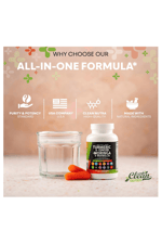 Clean Nutraceuticals Turmeric Moringa Ginger Boswellia Saffron  Ceylon Cinnamon, Tart Cherry, Quercetin Garlic Nettle Holy Basil 120 Capsul.