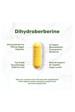 DEAL SUPLAMENT Dihydroberberine 100mg 120 Veg Capsul – 5X More Bioavailab Berberine HCL – GlucoVantage Formul.51.