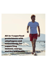 DEAL SUPPLEMENT Irish Sea Moss 7000mg  240 Veggie Capsul – 14 Superfood Complex – Shilajit, Black Seed Oil, Ginger.44.