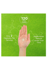 DEAL SUPPLEMENT Phosphatidylserine  400mg  240 Capsules – Nootropic Brain Health.Usa Menşei.52.
