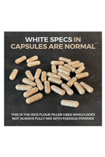 Double Wood Fadogia Agrestis 600mg 180 Capsul.36.