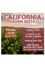 Dr. Berg Raw Organic Beet Powder from Real Earth-Grown Beets – USDA Certified Organic Beet Root Powder to Support Nitric Oxide Levels, Energy, Blood Flow,  Heart Health– 30 Servings.