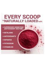 Dr. Berg Raw Organic Beet Powder from Real Earth-Grown Beets – USDA Certified Organic Beet Root Powder to Support Nitric Oxide Levels, Energy, Blood Flow,  Heart Health– 30 Servings.