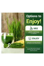 Dr. Berg USDA Certified Raw Organic Green Powder Superfood (60 Servings) - Raw Wheatgrass, Chlorophyll, Trace Minerals & Natural Enzymes.4167