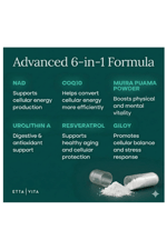Etta Vita Liposomal NAD+ 60 Capsul Resveratrol, Urolithin A, CoQ10,Muira Puama Natural Energy, Brain Fog, Digestion, Detox, Gut Health, Microbiome, NR NMN Replacement.Made ın Usa.