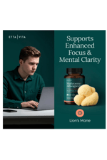 Etta Vita Mushroom+Asvaganda 90 Capsul Lions Mane,Chaga,Reishi,Cordyceps,Turkey Tail 10x Adaptogenic Complex Focus-Energy,Immunity Nootropic.
