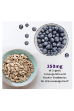 Garden of Life Probiotics Mood+ 60 Veggie Caps.Made ın Usa.