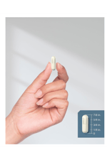 Horbäach L Ornithine HCl  1900mg  120 Quick Release Capsul.Made ın Usa.42.