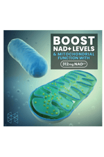 HPN NAD+ Booster (NAD3), Anti Aging Cell Booster, NRF2 Activator, Nicotinamide Riboside Alternative, NAD Supplement Natural Energy, Longevity, and Cellular Health (60 Veggie Capsul.Usa Amazon Best 3757