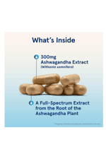 Jarrow Formulas, Ashwaganda, 300 mg, 120 Veggie Capsules 3843