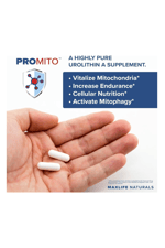 MaxLife Naturals ProMito 500mg Urolithin A  60 capsul. Made ın Usa.70.