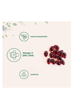 Micro Ingredients Antarctic Krill Oil  1000mg  300 Soft-Gels, Rich in Omega-3s EPA, DHA  Natural Astaxanthin, Immune System  Brain Health, Easy to Swallow.