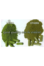 MOGO Moringa 180 Capsul Boost Energy, Immune, Gut, Joint Support  Pure Organic Moringa  Made in USA Best Seller.