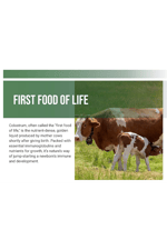 NatureBell Bovine Colostrum 1,000mg  240 Capsules  40% IgG Colostrum for Gut Health, Bloating, Skin, Hair Immune Support.