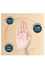 NatureBell Citicoline  CDP Choline, Citicoline 500mg Plus Tyrosine 50mg Per Serving, Optimized Dosage, 120 Capsules, 2 in 1 Formul.Abd Menşei.54.