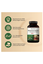 NatureBell Dihydroberberine with Berberine HCl 500mg, 120 Veggie Capsules  5X Better Absorbed with GlucoVantage Supports.Abd.52.