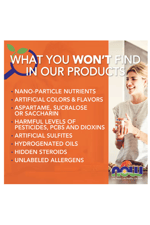 NOW Foods  Alfalfa Mikro Besin Desteği 650 mg, 250 Tablet.Made ın Usa.