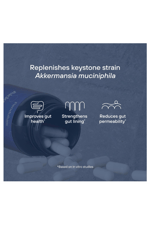Pendulum Akkermansia Probiotic with Prebiotic Fiber - Increases GLP-1 Production, Delayed Release, Third-Party Tested, 100M AFU Live Strain for Gut Health 30 Capsul. Mde ın Usa.86.
