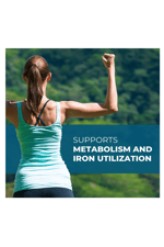 Seeking Health Molybdenum 500mg Molybdenum Glycinate Chelate Healthy Detoxification,Metabolism and Iron Utilization, (90 veg capsules) Usa Amazon Best Seller.45.