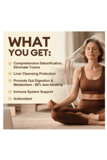 Totaria Complete Binder Detox  Activated Charcoal, Zeolite, Bentonite Clay, Alpha Lipoic Acid, 7-Layer Detox  Cleanse, Liver Gut 120 Capsul.