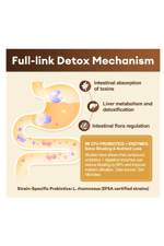 Totaria Complete Binder Detox  Activated Charcoal, Zeolite, Bentonite Clay, Alpha Lipoic Acid, 7-Layer Detox  Cleanse, Liver Gut 120 Capsul.