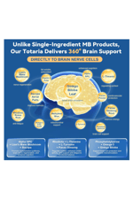 Totaria Healt Methylene Blue 120 Capsul 13 in 1 Upgrade Patented Brain Formula with Vitamin C Ester, Bacopa, Phosphatidylserine, Omega-3 Fatty Acids - Memory, Focus, Clarity, Cognitive.