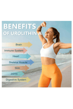 Totaria Healt Urolithin A  1000mg with NAD+,CoQ10,Resveratrol,PQQ for Men Women 120 Softgels.Made ın Usa.4054