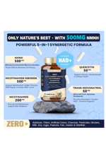 TOTARİA NMNH NMN Niacinamide  Quercetin, Trans-Resveratrol, Support NAD+, Skin Cell Health*, Anti-Aging & Energy, 120 Capsul.50.