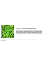 VINATURA Caralluma Fimbriata, EGCG 45% Extract 1250mg + Fucoxanthin *USA Made & Tested* for Immune Support, Energy and Mental Focus - 60 Capsules.52.