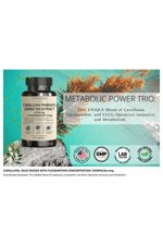 VINATURA Caralluma Fimbriata, EGCG 45% Extract 1250mg + Fucoxanthin *USA Made & Tested* for Immune Support, Energy and Mental Focus - 60 Capsules.52.