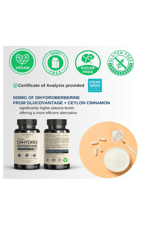 VINATURA Dihydroberberine Ceylon Cinnamon, 500mg - (Patented GlucoVantage Super Berberine), Maybe Berberine 5X More absorbable - 30 Capsules.
