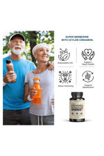 VINATURA Dihydroberberine Ceylon Cinnamon, 500mg - (Patented GlucoVantage Super Berberine), Maybe Berberine 5X More absorbable - 30 Capsules.
