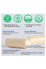 VINATURA Organic SEA MOSS  Blue Vervain - with Black Seed Oil, KSM 66 - Ginger, Burdock Root - 1250mg 60 Capsul. Made ın Usa.53.