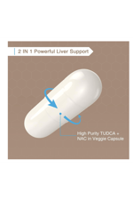 Zingicin TUDCA with N.A.C 1200mg - 60 Capsules,Powerful TUDCA Bile Salt Plus N-Acetyl-Cysteine.Usa Amazon Best Seller.50.