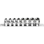 Ceta Form 8 Parça 1/2'' Dış TORX Lokma Anahtar Takımı (Raylı)