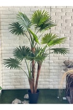 3lü Palmiye Ağacı (yapay ağaçtır 210cm)