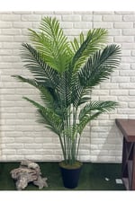 Areka Palmiye Ağacı (yapay 200cm)