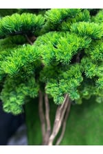 Dekoratif Yapay Bonsai Ağacı Dalı 30 cm
