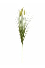 Dekoratif yapay pampas