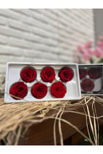 Kırmızı Solmayan Gül (6’lı kutu)