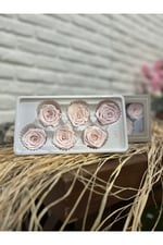 Lila Renk Solmayan Gül (6 adet)