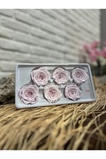 Lila Renk Solmayan Gül (6 adet)