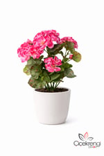Premium Pembe Sardunya Demeti 40 cm – Gerçekçi Yapay Sardunya Çiçeği