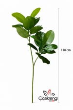 Premium Yapay Kauçuk (Rubber) Dal 110 cm – Gerçekçi Parlak Yeşil Dekoratif Salon Bitkisi |