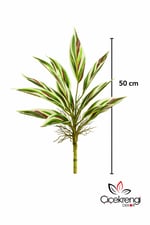 Premium Yapay Paşa Kılıcı Dalı 50 cm – Gerçekçi Variegated Yapraklı Dekoratif Salon Bitkisi