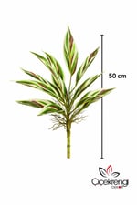 Premium Yapay Paşa Kılıcı Dalı 50 cm – Gerçekçi Variegated Yapraklı Dekoratif Salon Bitkisi