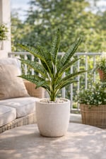 Premium Yapay Paşa Kılıcı (Sansevieria) Bitkisi 55 cm | Gerçek Görünümlü Dekoratif Yapay Bitki