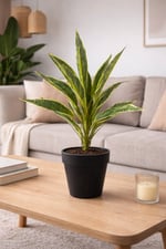 Premium Yapay Paşa Kılıcı (Sansevieria) Dalı 50 cm – Sarı Kenarlı Gerçekçi Dekoratif Salon Bitkisi