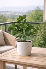 Premium Yapay Yeşil Şeflera Dalı 40 cm – Gerçekçi Schefflera Bitki Dalı |